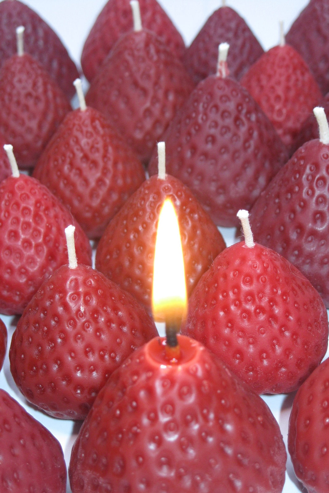 Літня Торбина